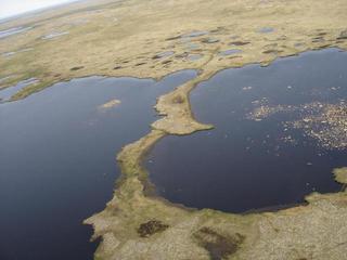 #1: View of the confluence situated in between the lakes from approximately 100 feet in the air.