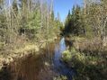 #9: Submerged trail en route to the confluence point.  