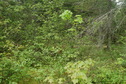 #2: East