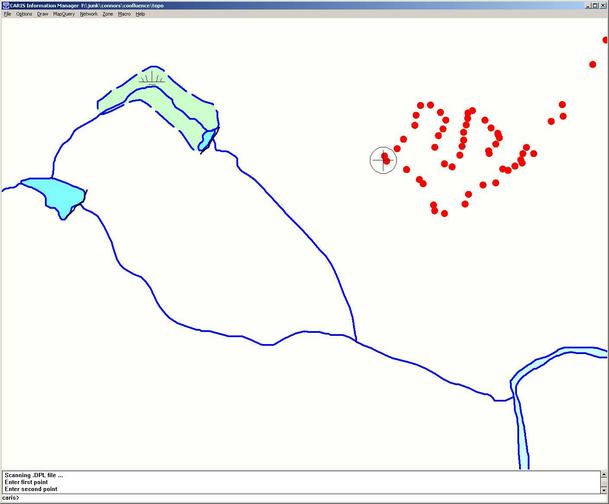 As you can see the tree canopy and thick underbrush made it hard to navigate in a straight line!