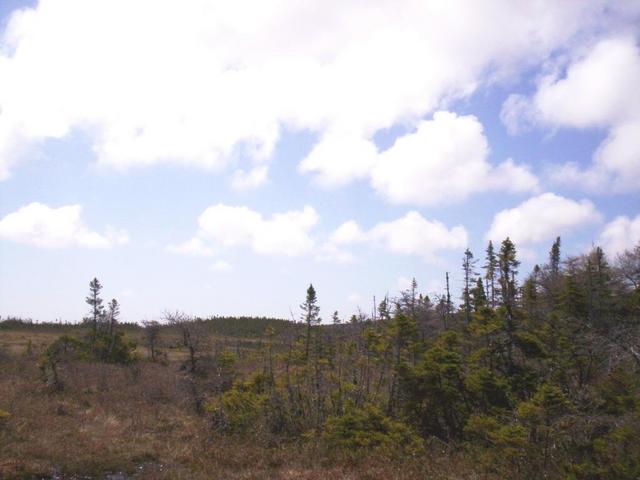 Looking south from confluence