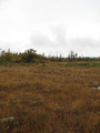 #3: Looking north from confluence point.