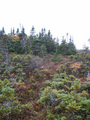 #5: Looking south from confluence point.