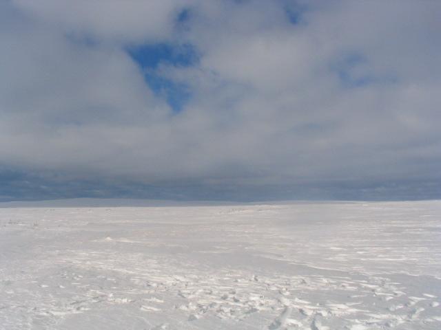 North