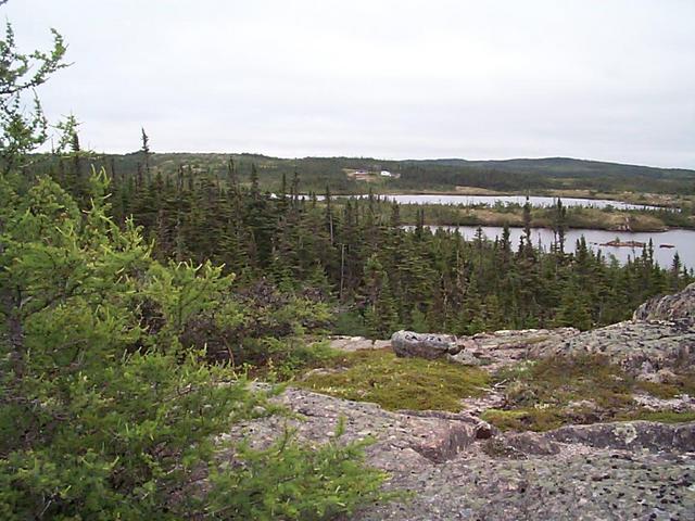 The view to the south, from a rocky knob a few hundred metres away, shows more of the ponds and several of the many cabins in the area.