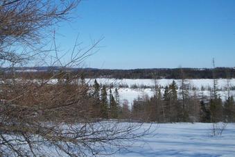 #1: View of area looking East over the lake