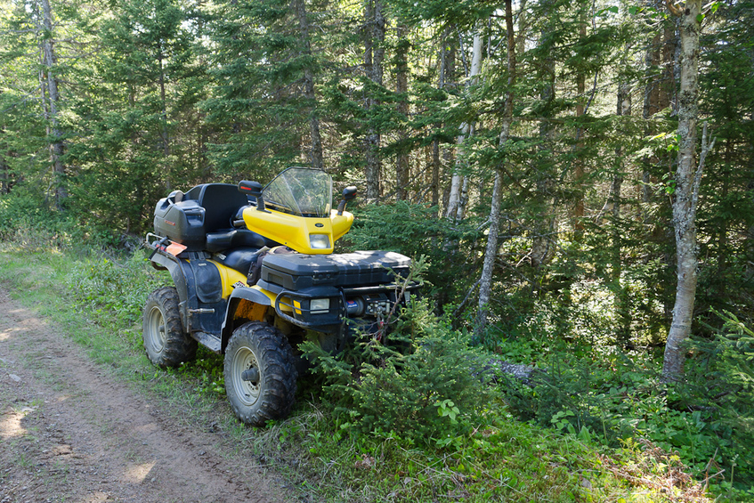 Quad waiting roadside