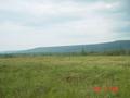 #8: Looking south at the marshy area, 500 metres south of the confluence point