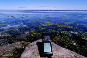 #1: View facing north (into the Strait of Belle Isle)