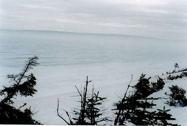 View of the general area with the confluence near middle right.