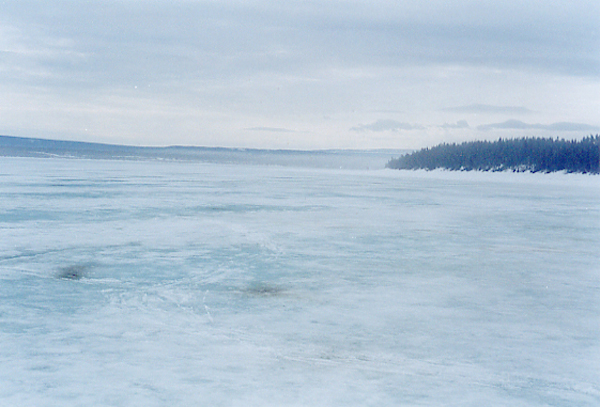 South view from the confluence.