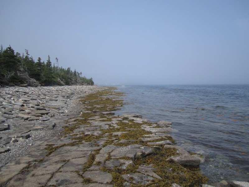 View north along beach from the nearest point