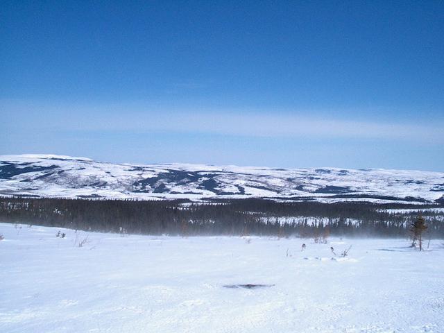 A view of Temple Brook valley taken from hill with the confluence in the center of the wooded area.