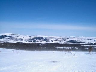 #1: A view of Temple Brook valley taken from hill with the confluence in the center of the wooded area.