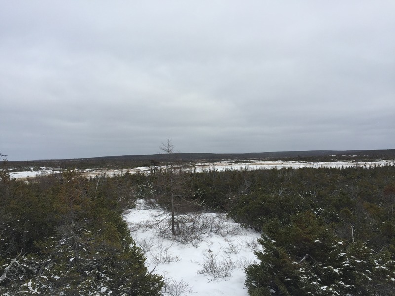 View of confluence point from 80m SW