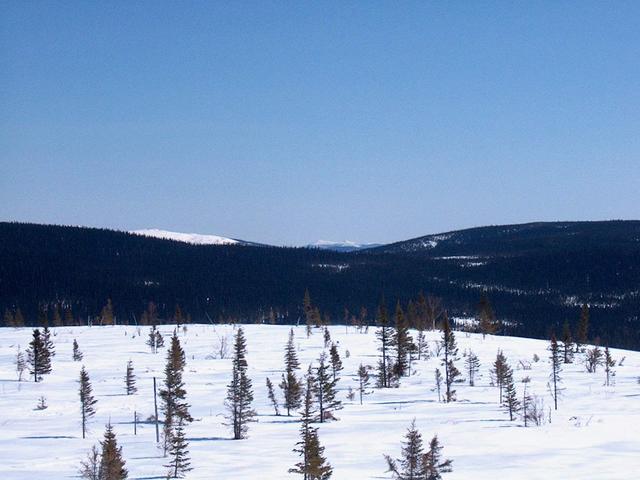 Hills looking south from confluence 53N57W.