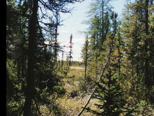 #1: The view to the West.