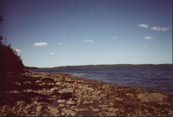 Looking west up the bay