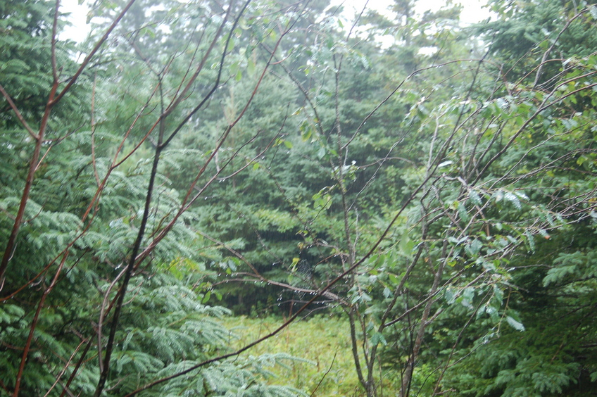 East