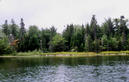 #4: The view looking west from the confluence.