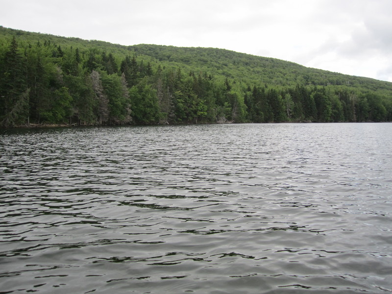 North - The Trans-Canada Highway is hiding in the trees