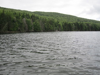 #1: North - The Trans-Canada Highway is hiding in the trees