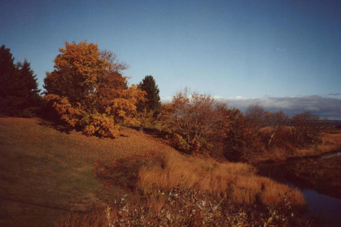 The creek lading from the road to bay