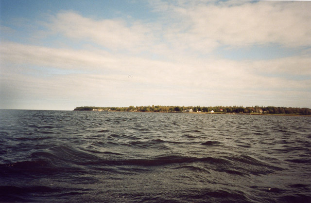 Looking up the coast