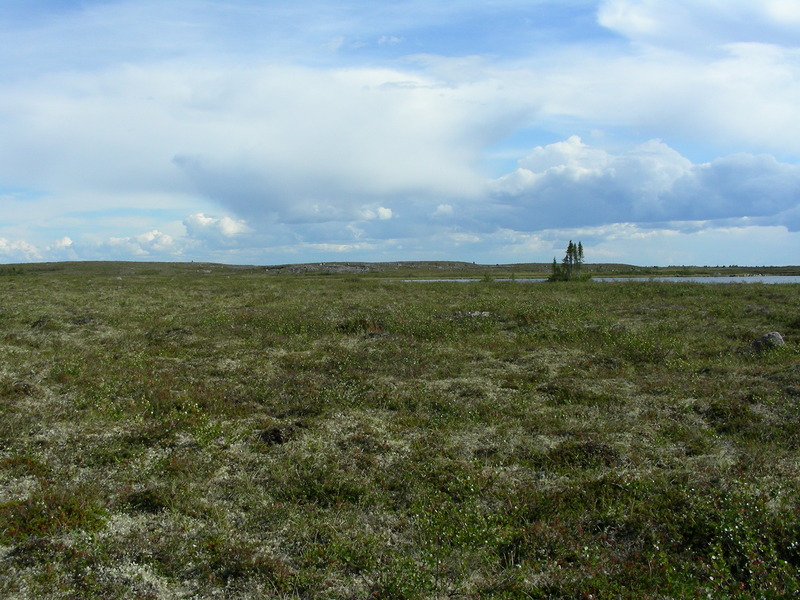 Looking south from the confluence