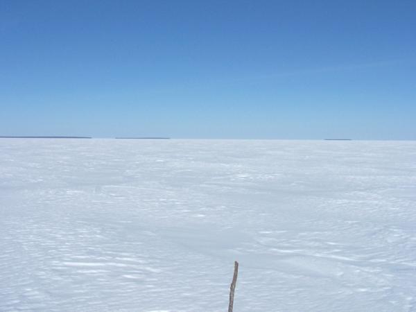 Looking North - stick marks the confluence