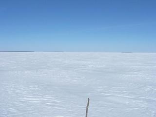 #1: Looking North - stick marks the confluence