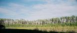 #4: open area between the highway and the confluence, with pond to the left