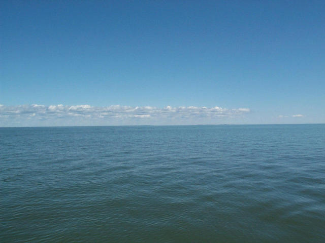 Looking East from the site.  The actual confluence point is just at the bottom of the frame