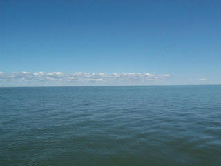 #1: Looking East from the site.  The actual confluence point is just at the bottom of the frame