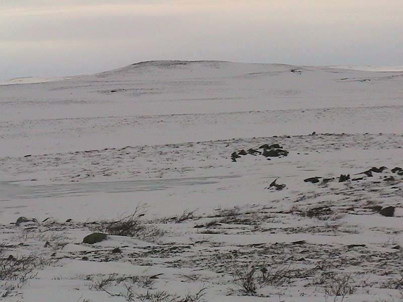 From the confluence looking South. This is the direction that we came from on our snow machines. 