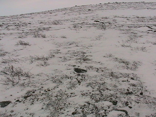 #1: The confluence is just below the rock that is in the lower center of photo