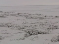 #3: From the confluence looking East. There are some differences in scenery between the cardinals of the compass, they are however slight in this area.