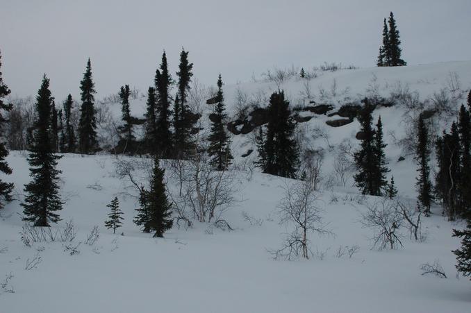 Looking north from confluence point