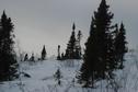 #3: Looking south from confluence point