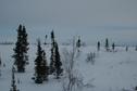 #4: Looking west from confluence point