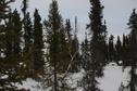 #5: Looking east from confluence point