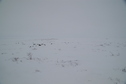 #5: Looking East (also disappointing: South and West look the same)
