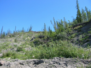 #1: View towards the confluence from the river