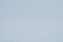 #8: Where did the horizon go