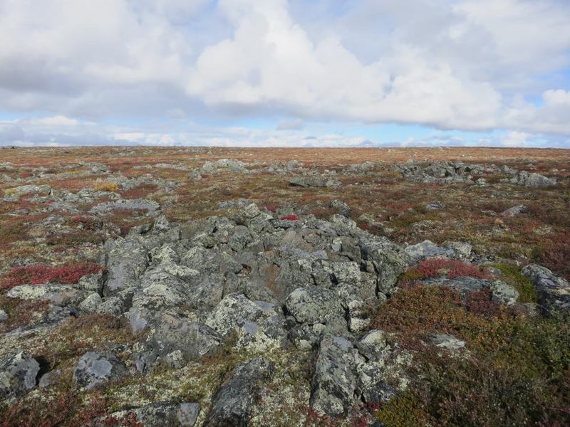 view to the north