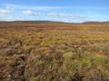 #4: Looking west