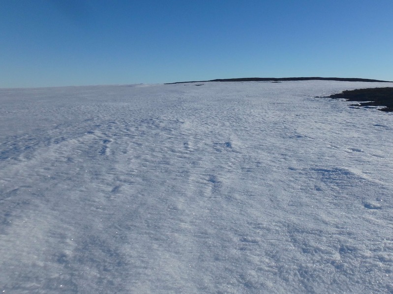 General appearance of the area of 73N 92W in late June.