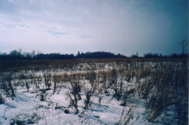 View to the West