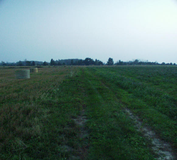 looking south toward the confluence point which is just beyond the trees