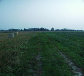 #1: looking south toward the confluence point which is just beyond the trees